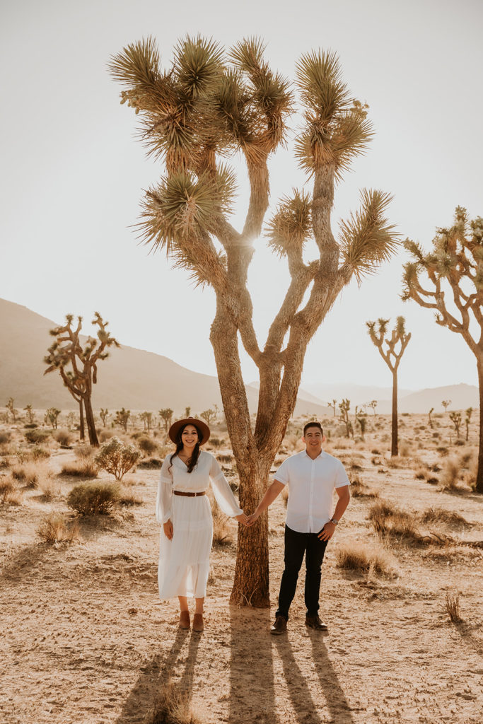 joshua tree engagement session where couple is holding hands in the desert