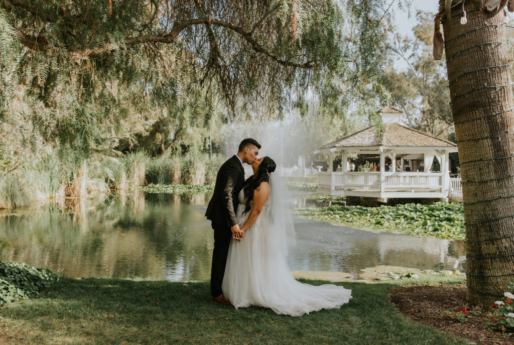 Bride and Groom Portrait under a weeping willow tree